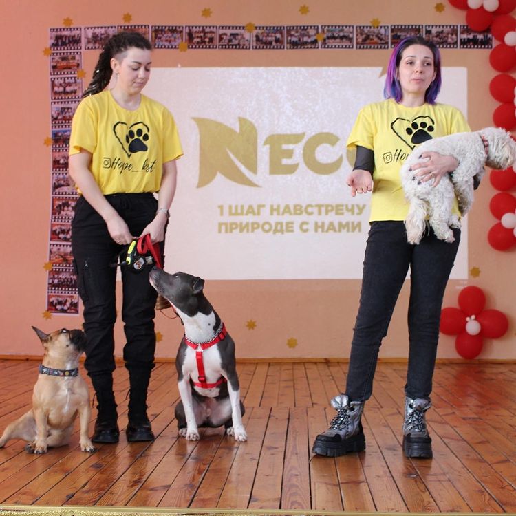 328844996 895193644861077 1201882407205577487 n