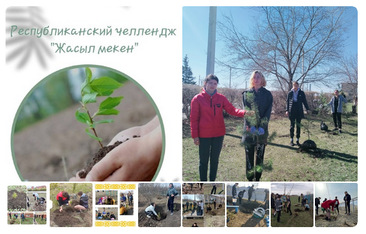 Screenshot 2023-05-25 at 15-46-54